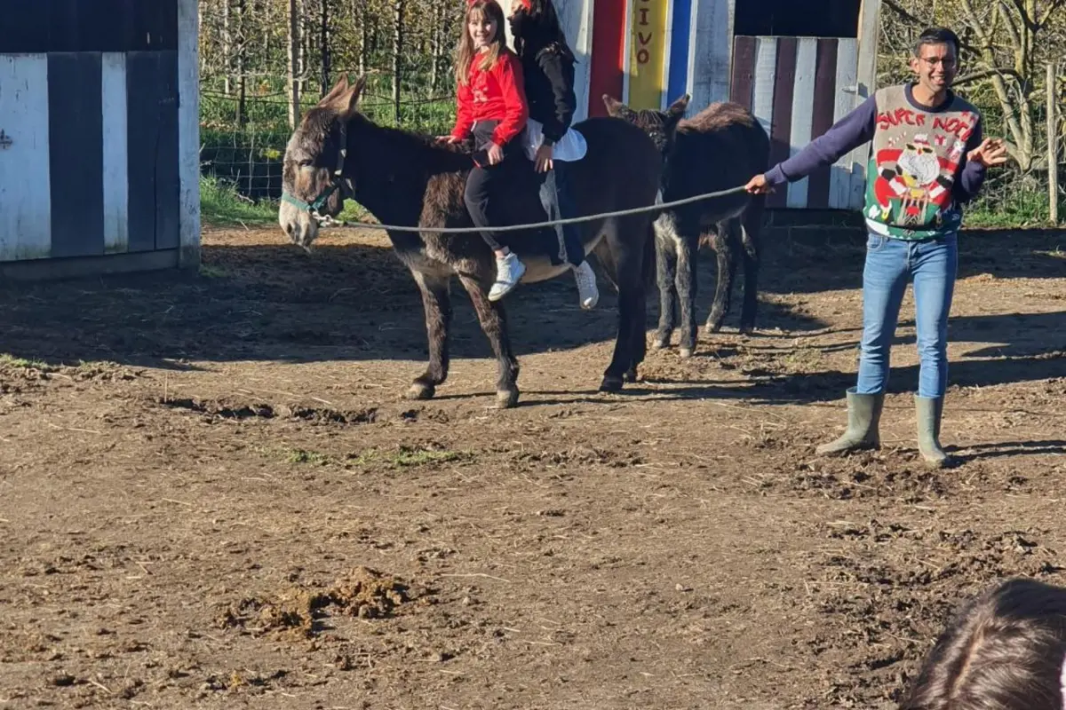 Discover Gojim Rural House: A Unique Accommodation Experience - Imagem 85