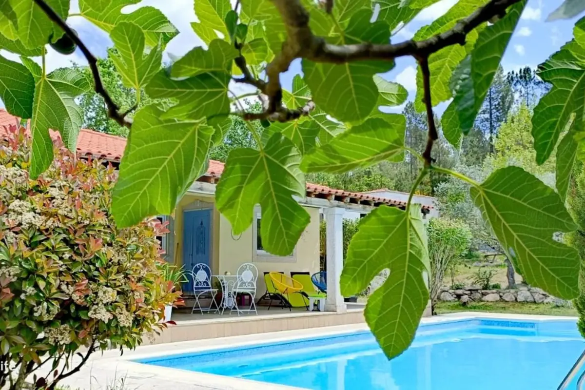 Discover the Hostel Encostas Do Douro: A Cozy and Unforgettable Experience - Imagem 46