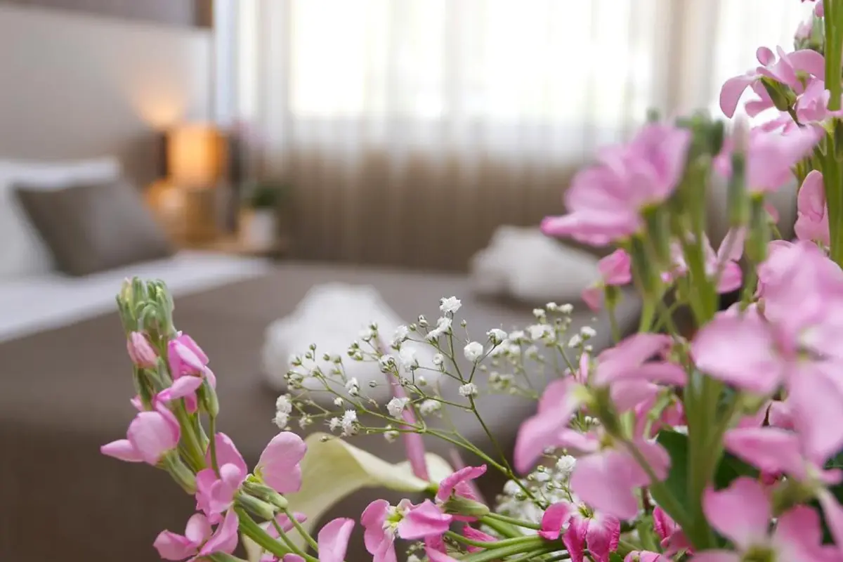 Discover the Douro Inn Hotel: The Perfect Base for Your Stay - Imagem 23