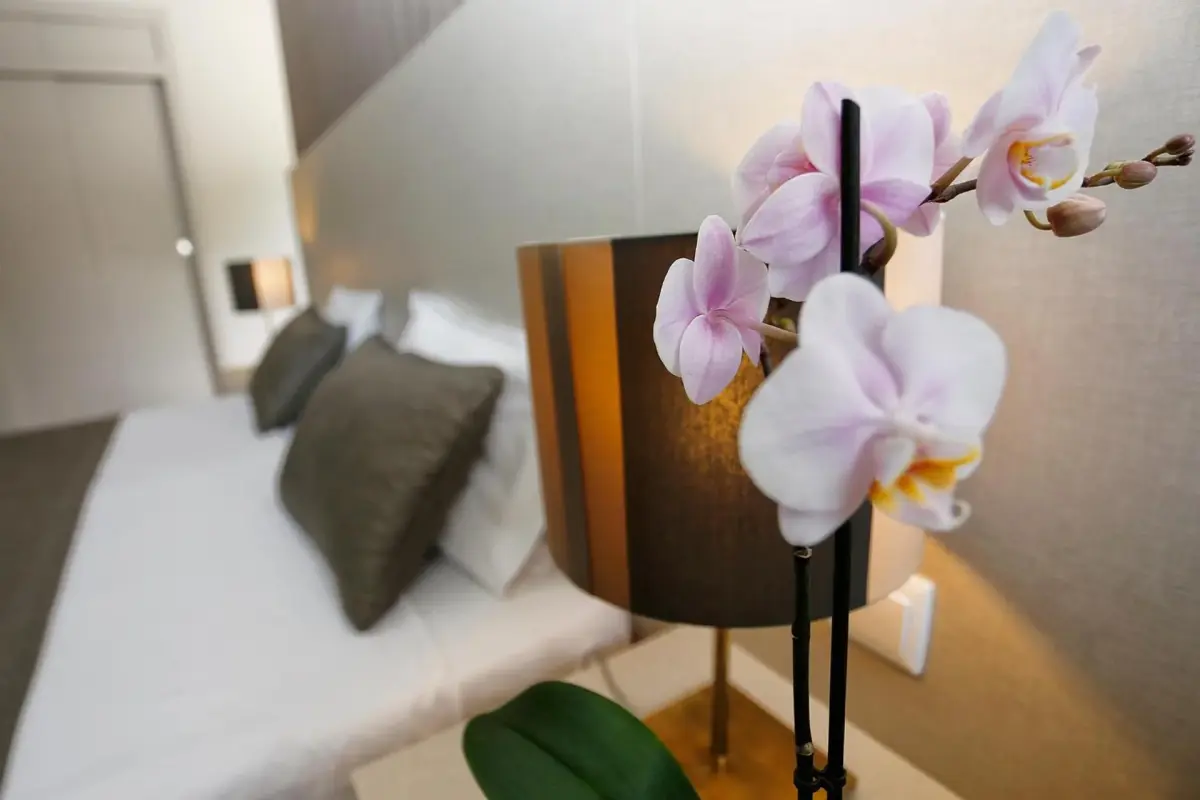 Discover the Douro Inn Hotel: The Perfect Base for Your Stay - Imagem 31