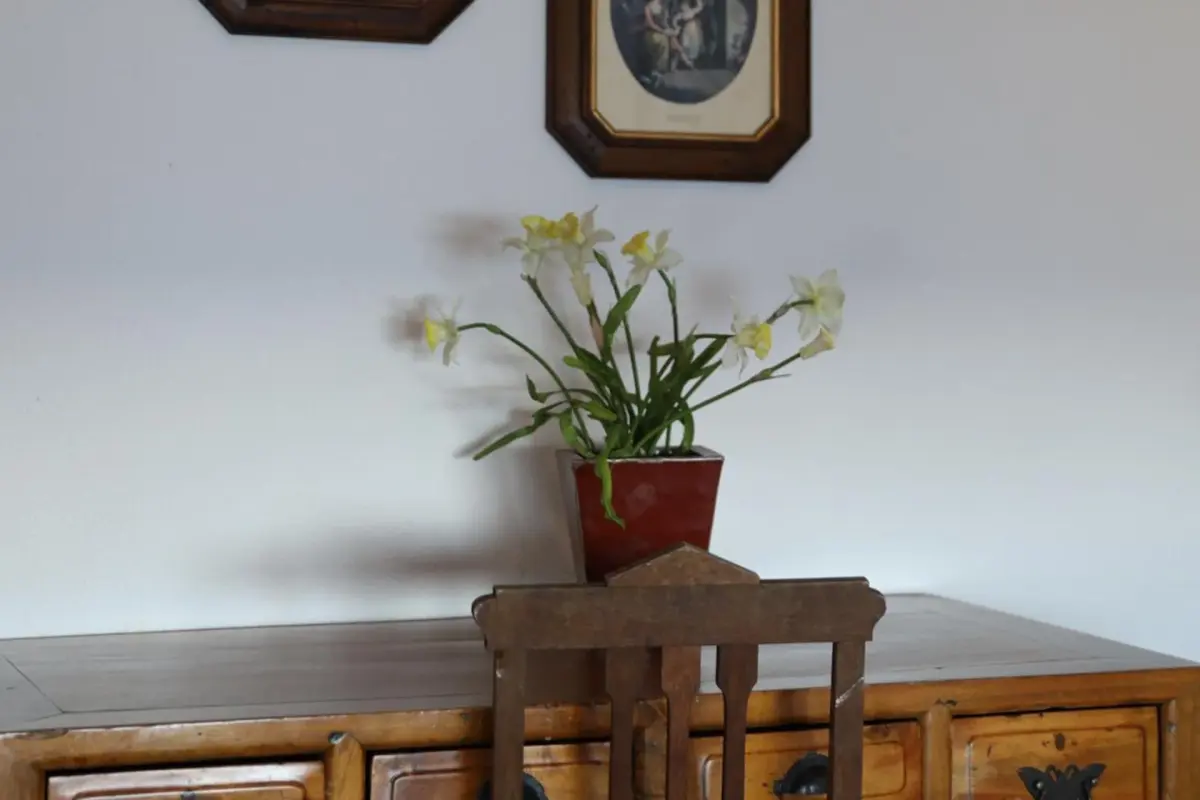 Hotel Portofoz - Imagem 35