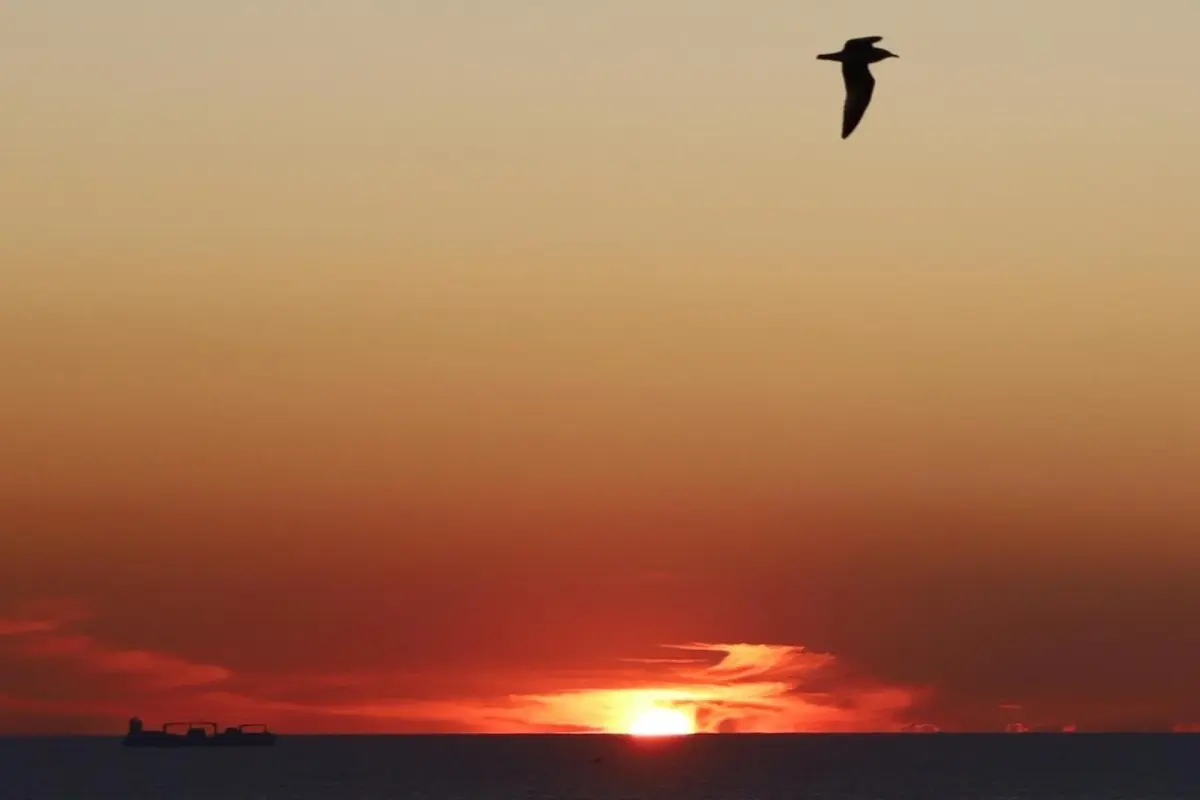 Hotel Portofoz - Imagem 87