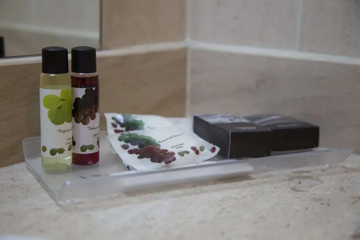 Hotel Regua Douro - Imagem 44