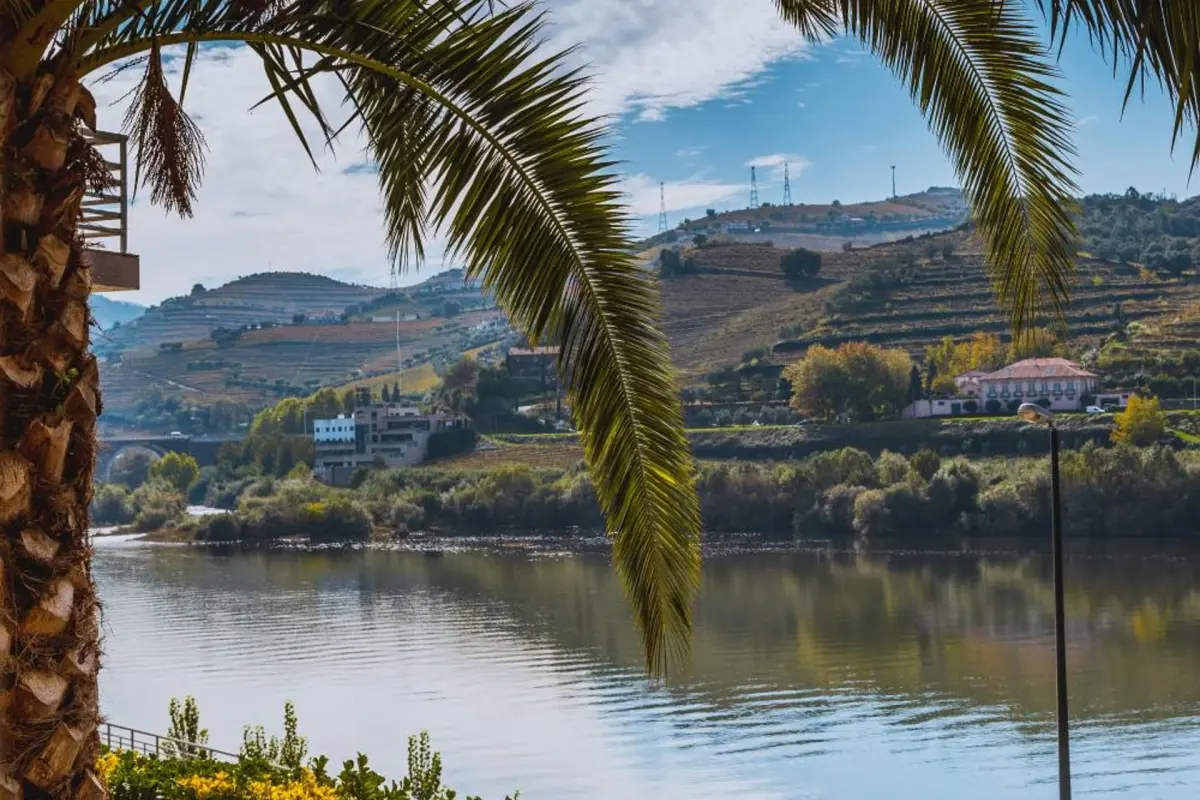 Hotel Regua Douro - Imagem 76