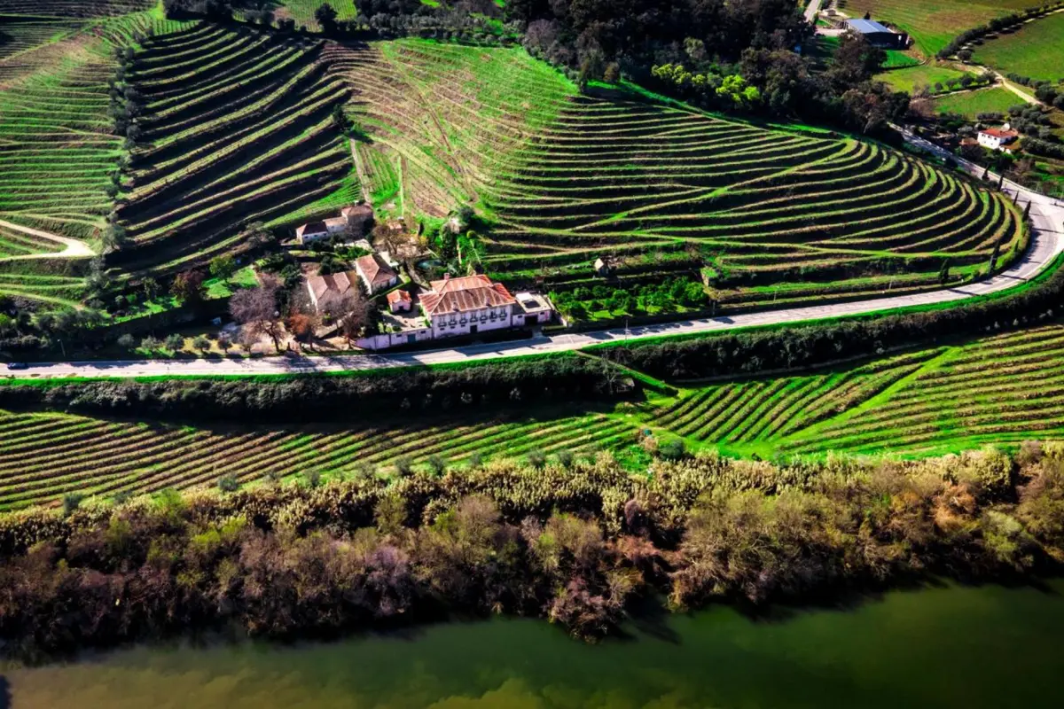 Hotel Regua Douro - Imagem 93