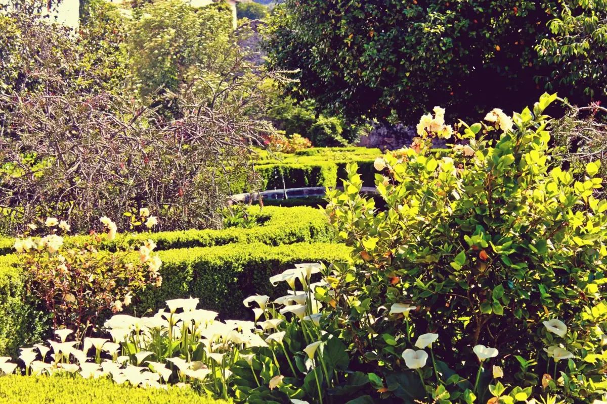 Hotel Rural Casa dos Viscondes da Varzea - Imagem 101