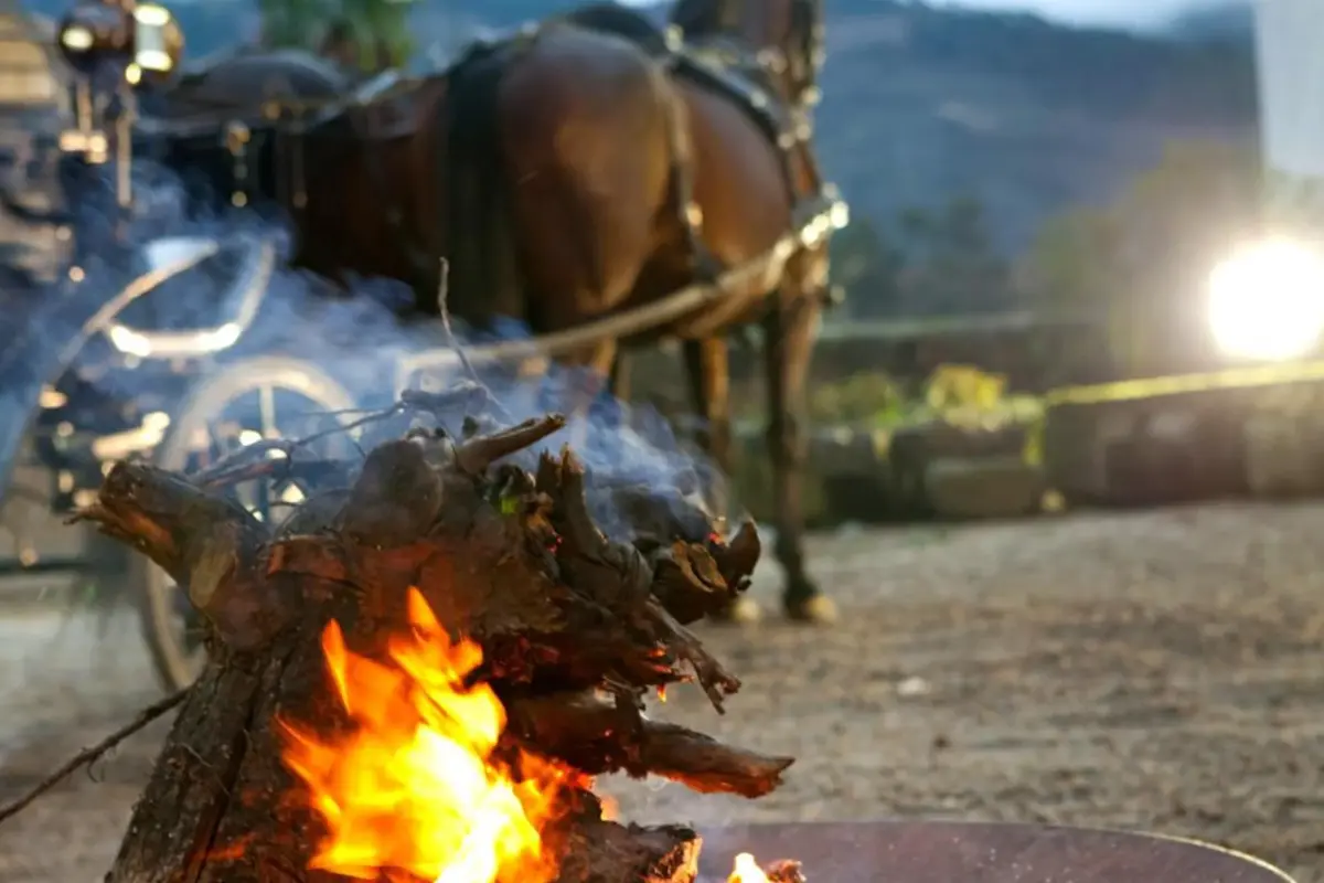 Hotel Rural Casa dos Viscondes da Varzea - Imagem 18