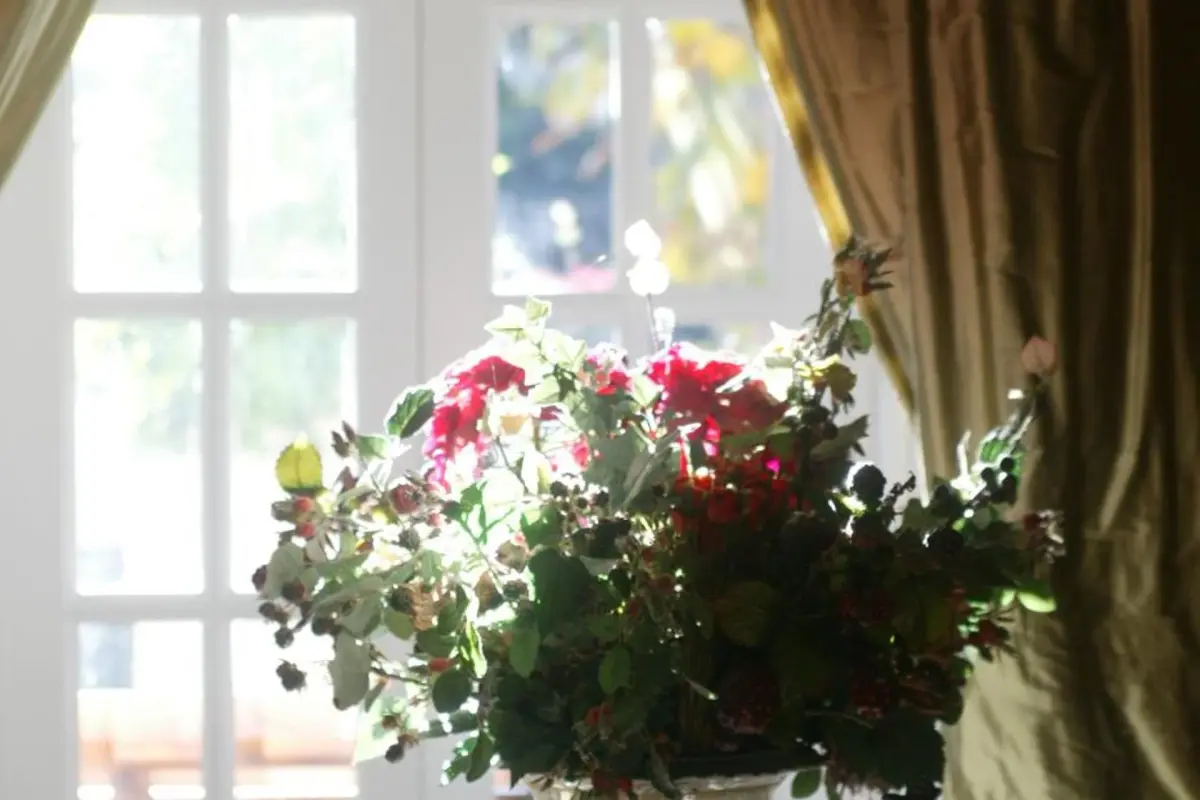 Hotel Rural Casa dos Viscondes da Varzea - Imagem 93