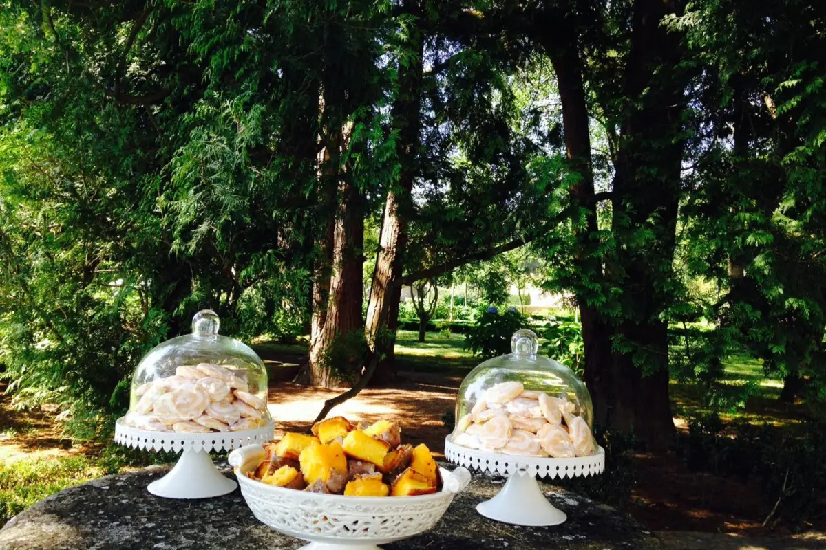 Hotel Rural Casa dos Viscondes da Varzea - Imagem 100