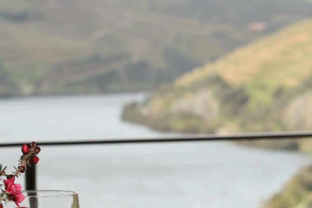 Discover the Ideal Refuge at Rural Hotel Quinta do Pêgo - Imagem 31