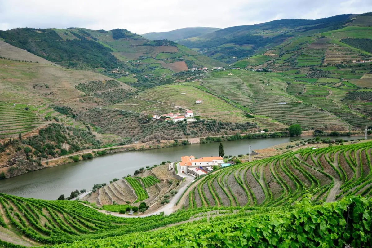 Discover the Ideal Refuge at Rural Hotel Quinta do Pêgo - Imagem 39