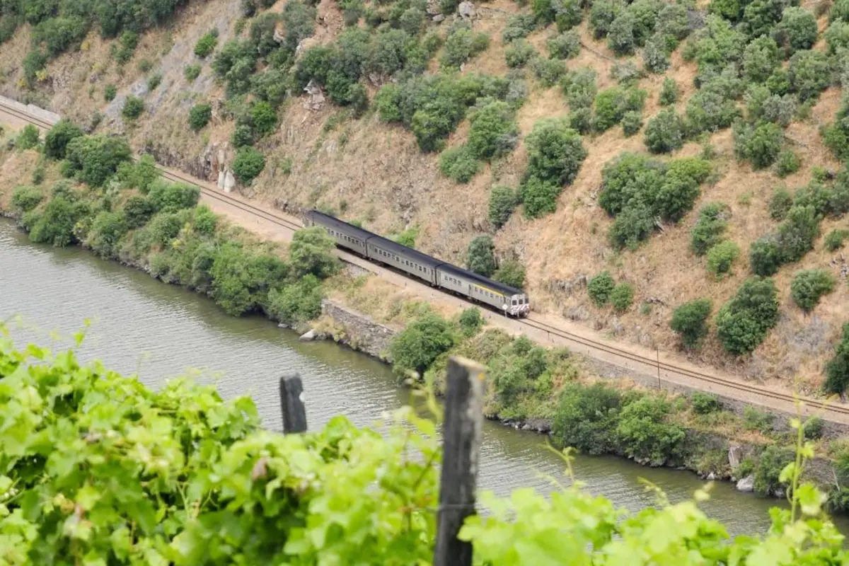 Discover the Ideal Refuge at Rural Hotel Quinta do Pêgo - Imagem 48