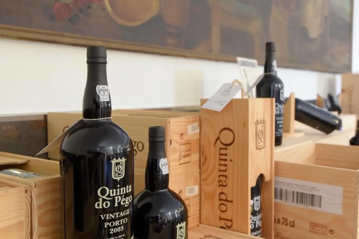 Discover the Ideal Refuge at Rural Hotel Quinta do Pêgo - Imagem 60