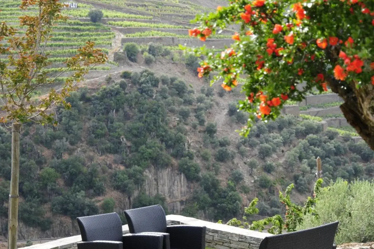 Discover the Ideal Refuge at Rural Hotel Quinta do Pêgo - Imagem 62