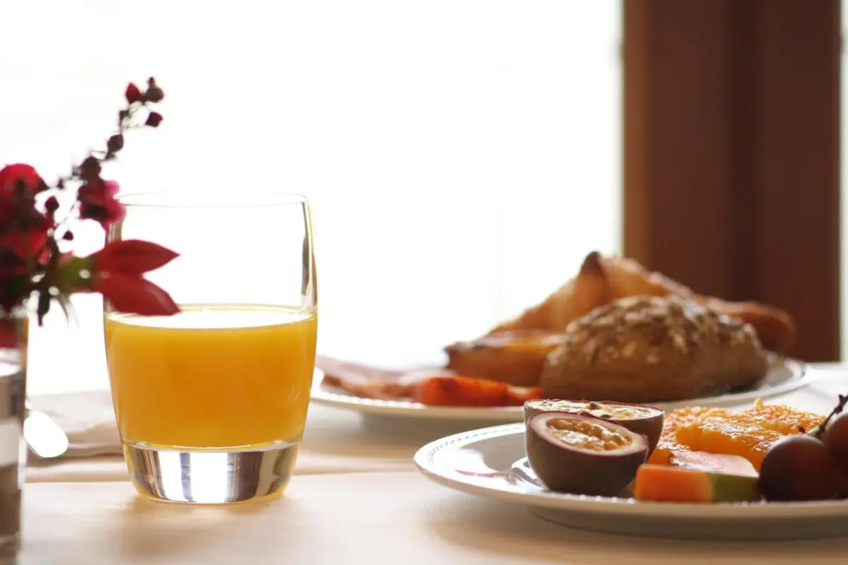 Discover the Ideal Refuge at Rural Hotel Quinta do Pêgo - Imagem 68