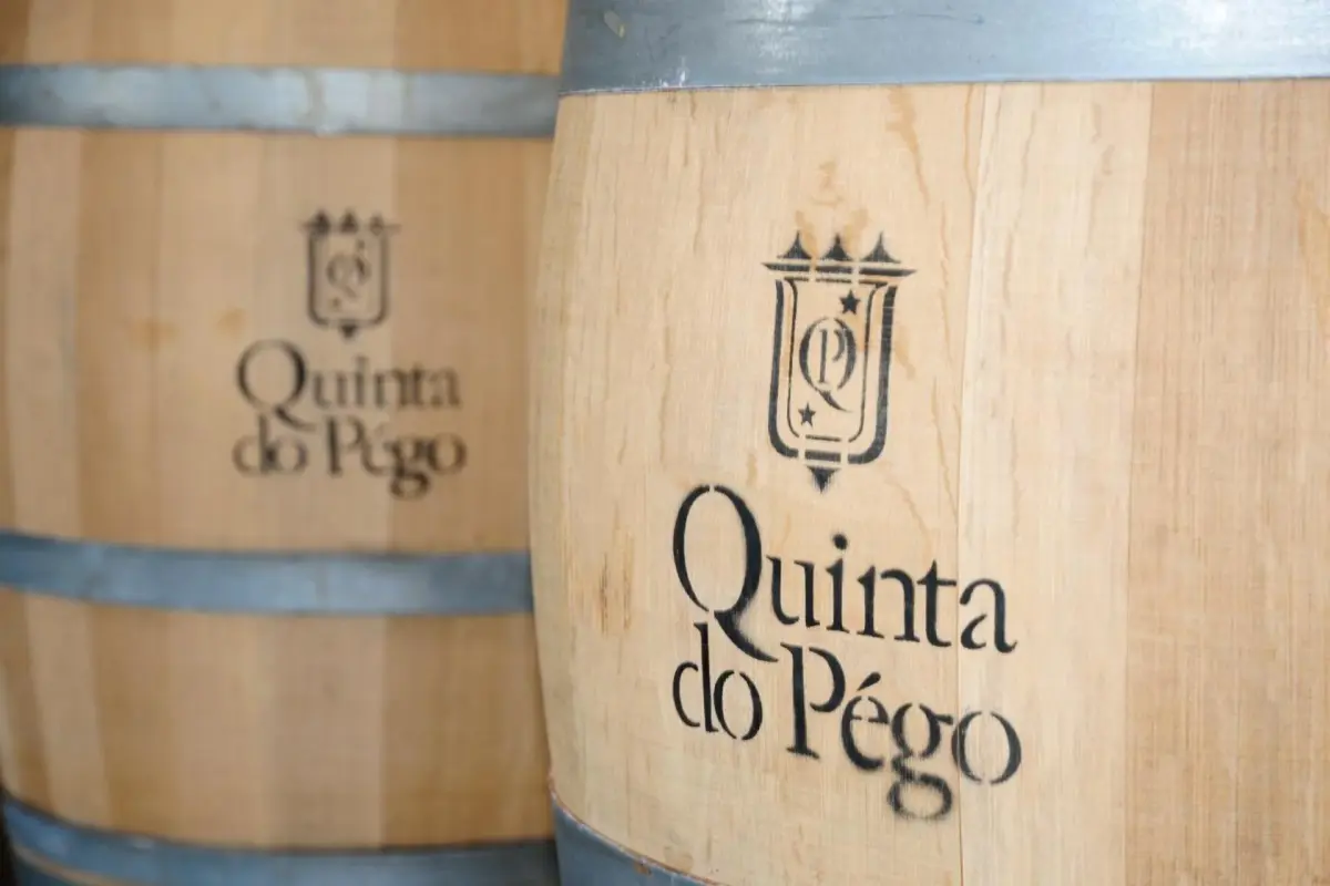 Discover the Ideal Refuge at Rural Hotel Quinta do Pêgo - Imagem 88