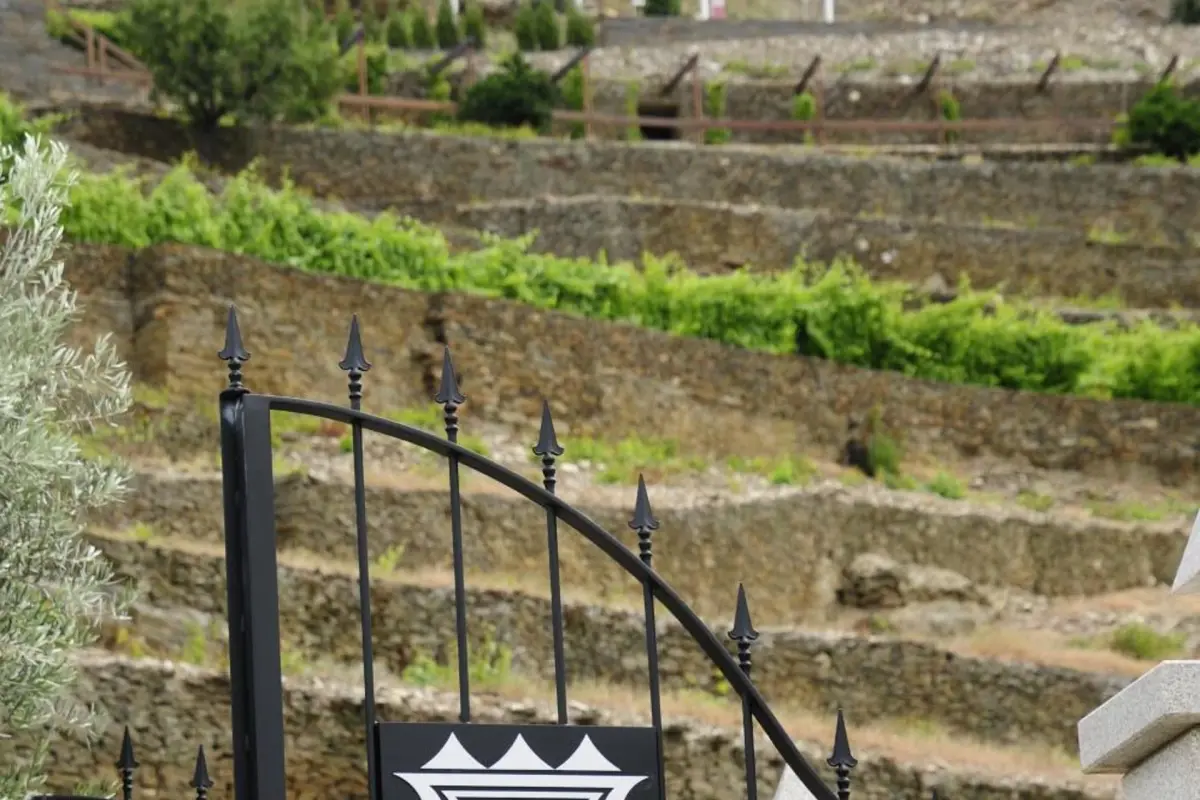 Discover the Ideal Refuge at Rural Hotel Quinta do Pêgo - Imagem 90