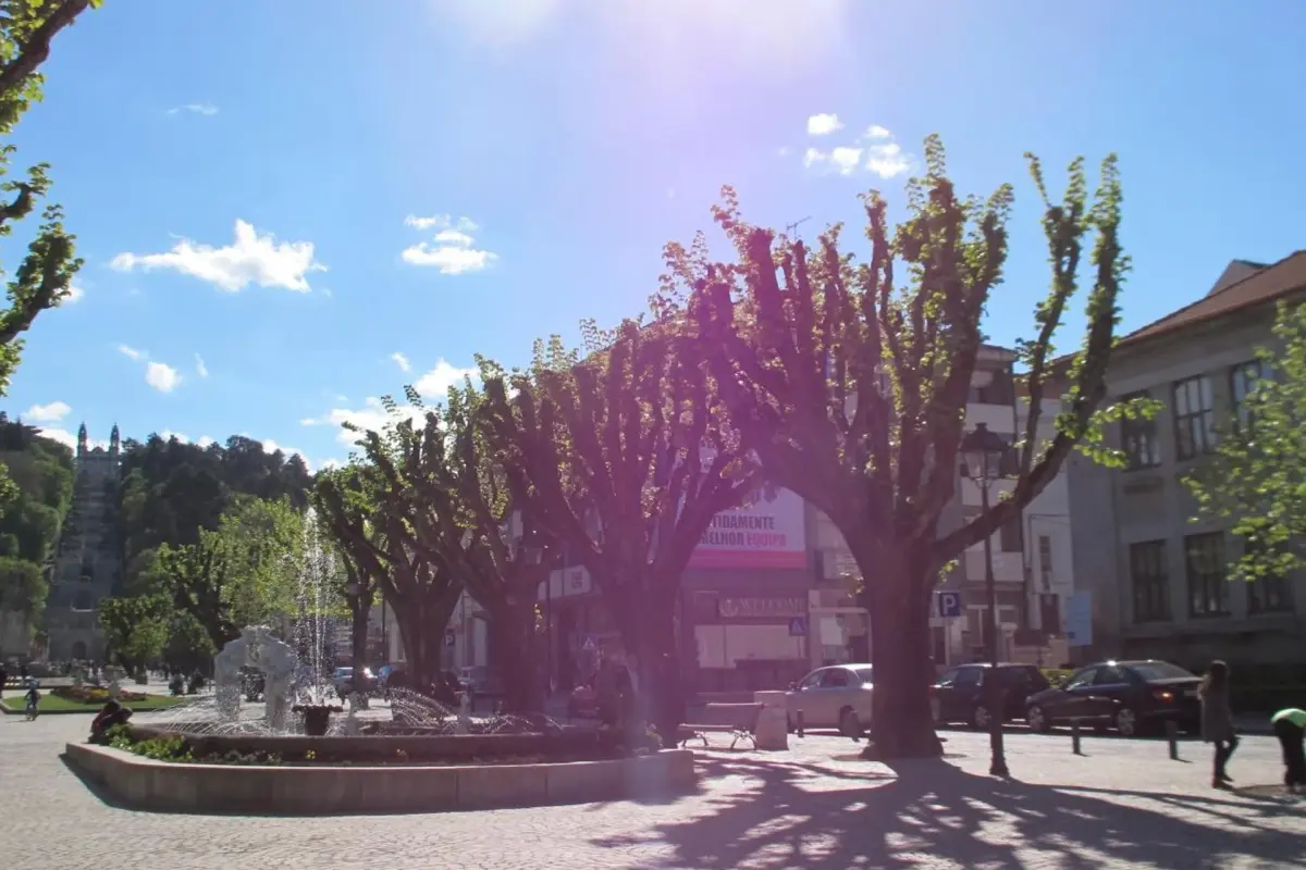Hotel Solar dos Pachecos: Una Experiencia Memorable en Lamego - Imagem 72