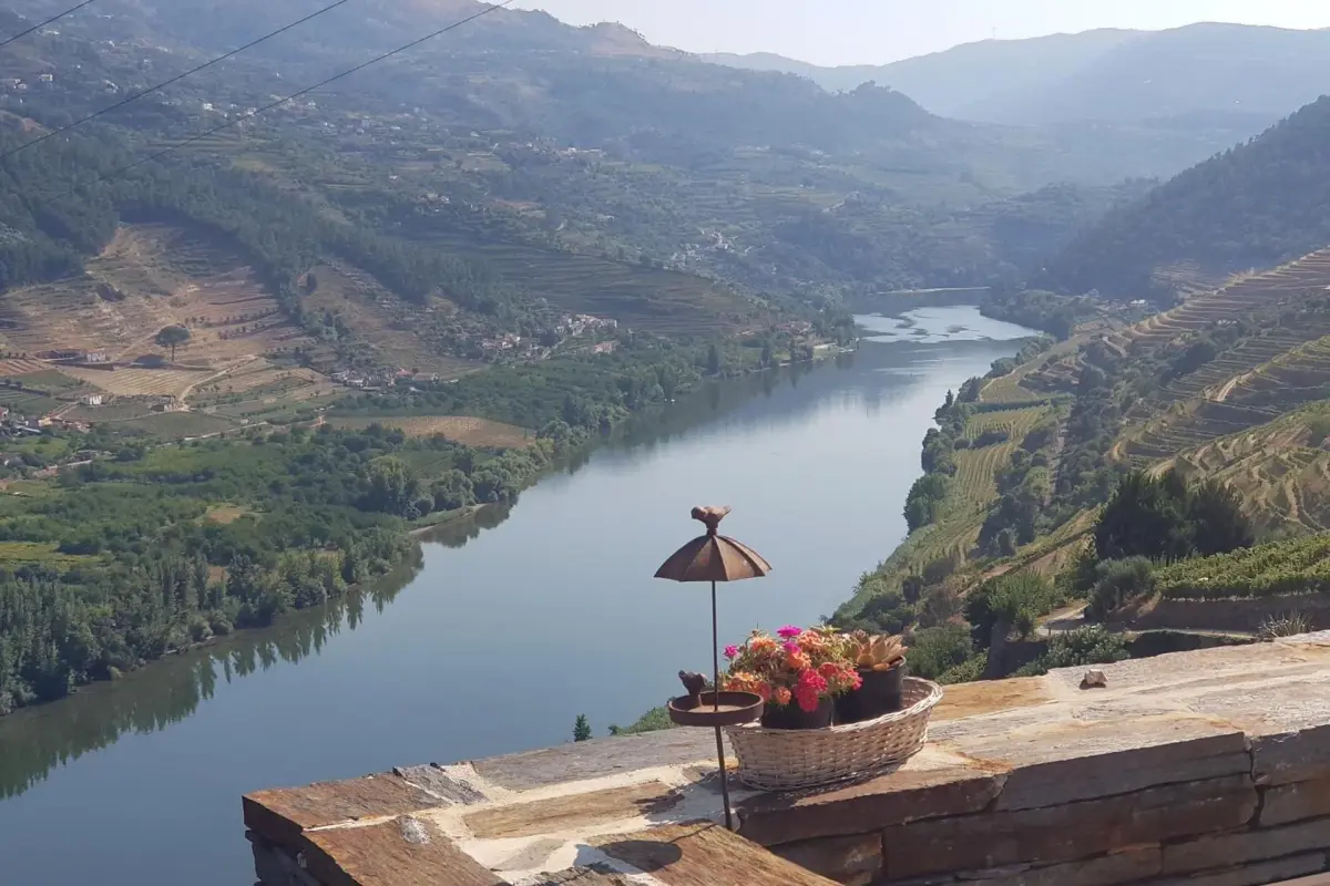 Imaginary of King: Experience and Reliability in Hospitality - Imagem 25