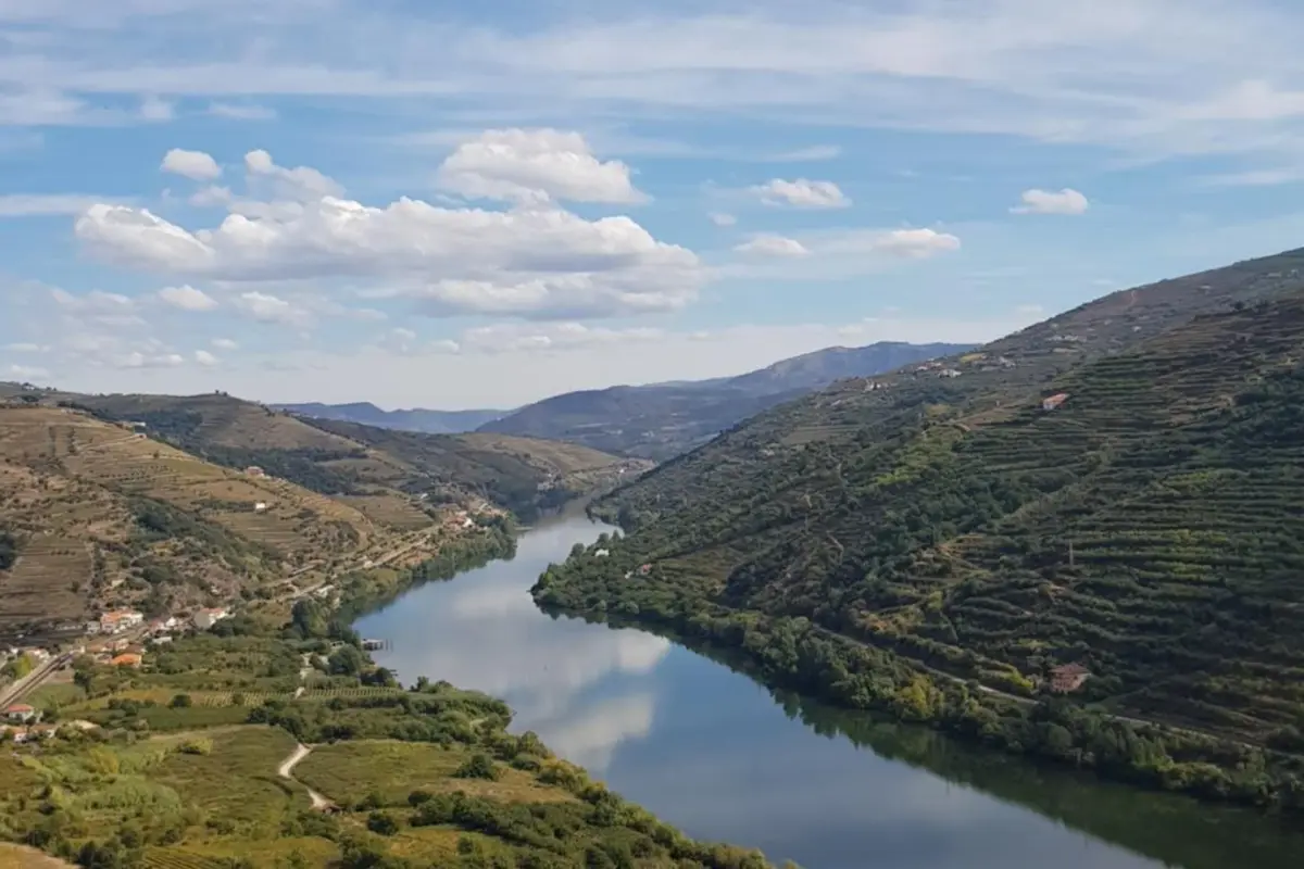 Imaginary of King: Experience and Reliability in Hospitality - Imagem 27