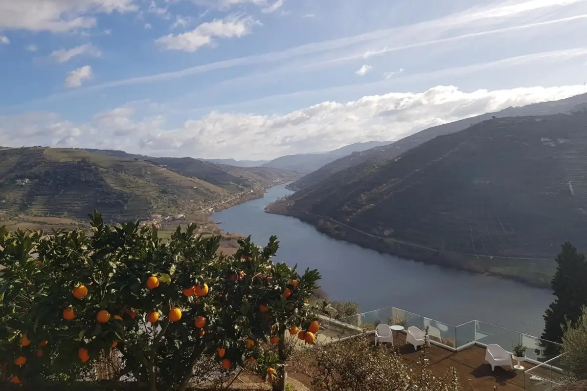 Imaginary of King: Experience and Reliability in Hospitality - Imagem 38