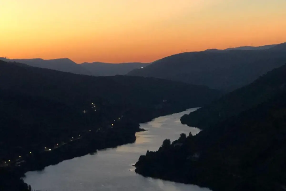 Imaginary of King: Experience and Reliability in Hospitality - Imagem 39