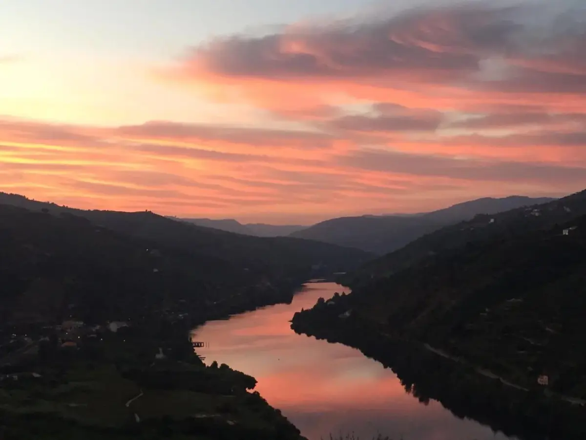 Imaginary of King: Experience and Reliability in Hospitality - Imagem 45