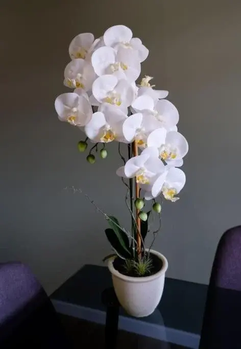 Descubra O Cantinho do Colégio: Um Refúgio Aconchegante em Família - Imagem 37