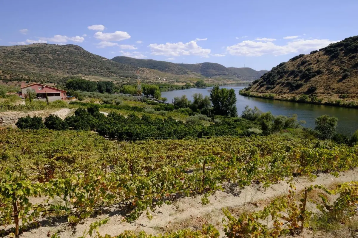 Olhares do Douro - Imagem 56