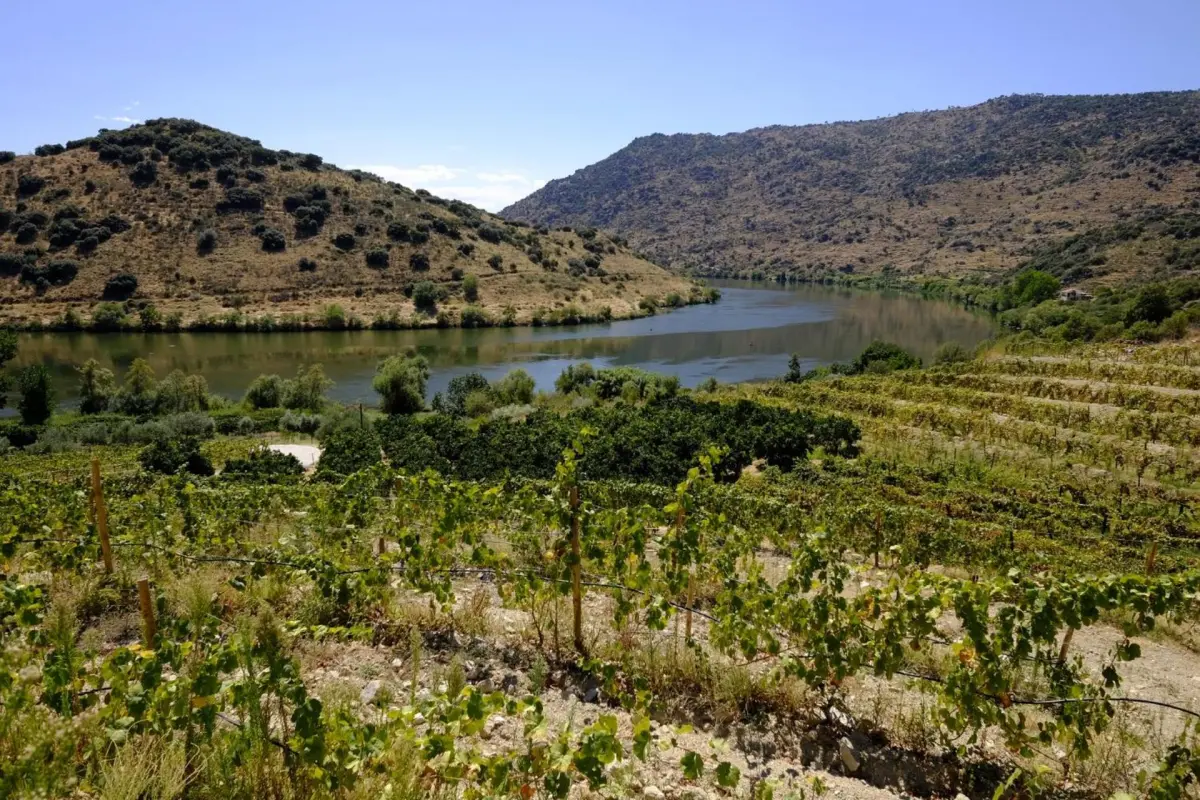 Olhares do Douro - Imagem 57