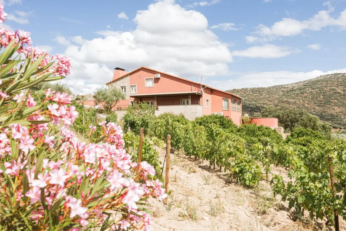 Olhares do Douro - Imagem 7