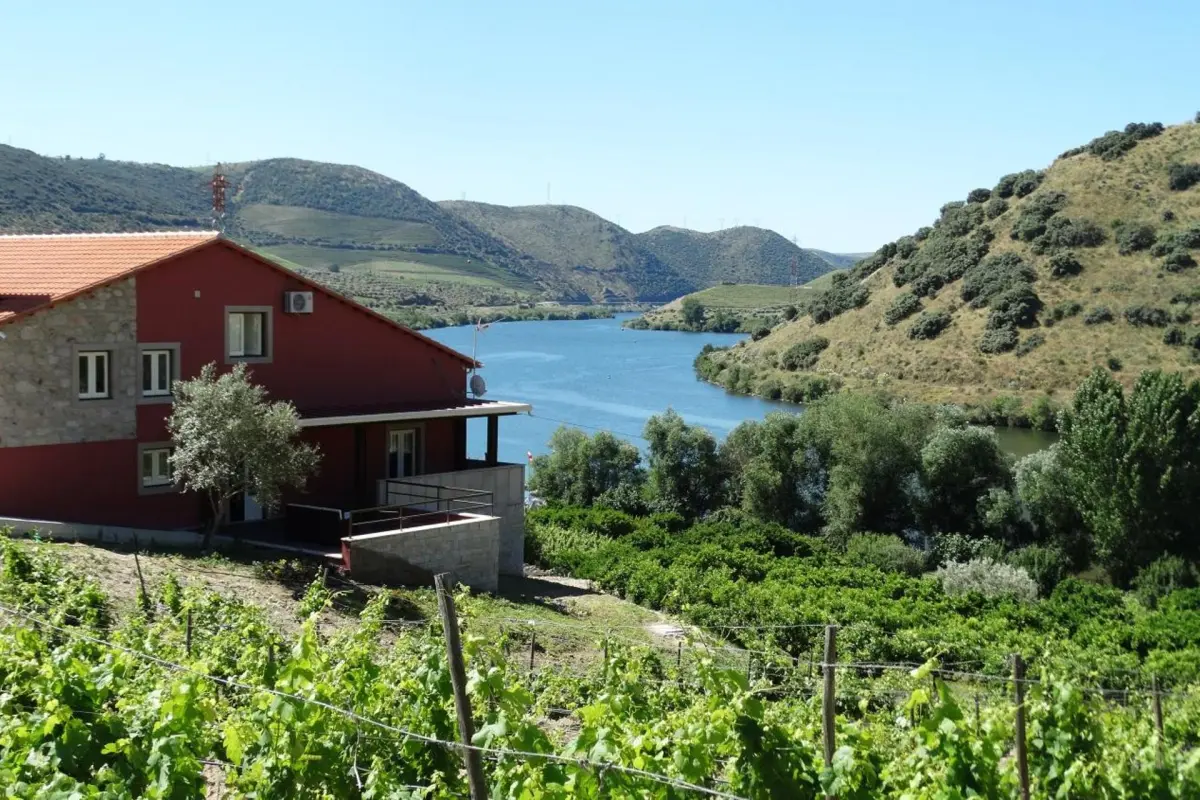 Olhares do Douro - Imagem 65