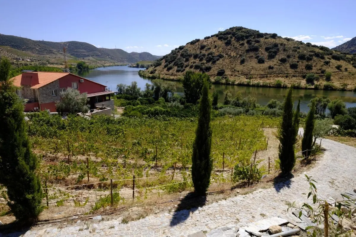 Olhares do Douro - Imagem 68