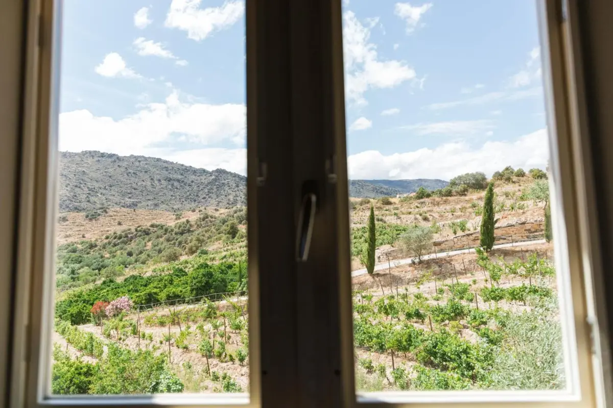 Olhares do Douro - Imagem 80