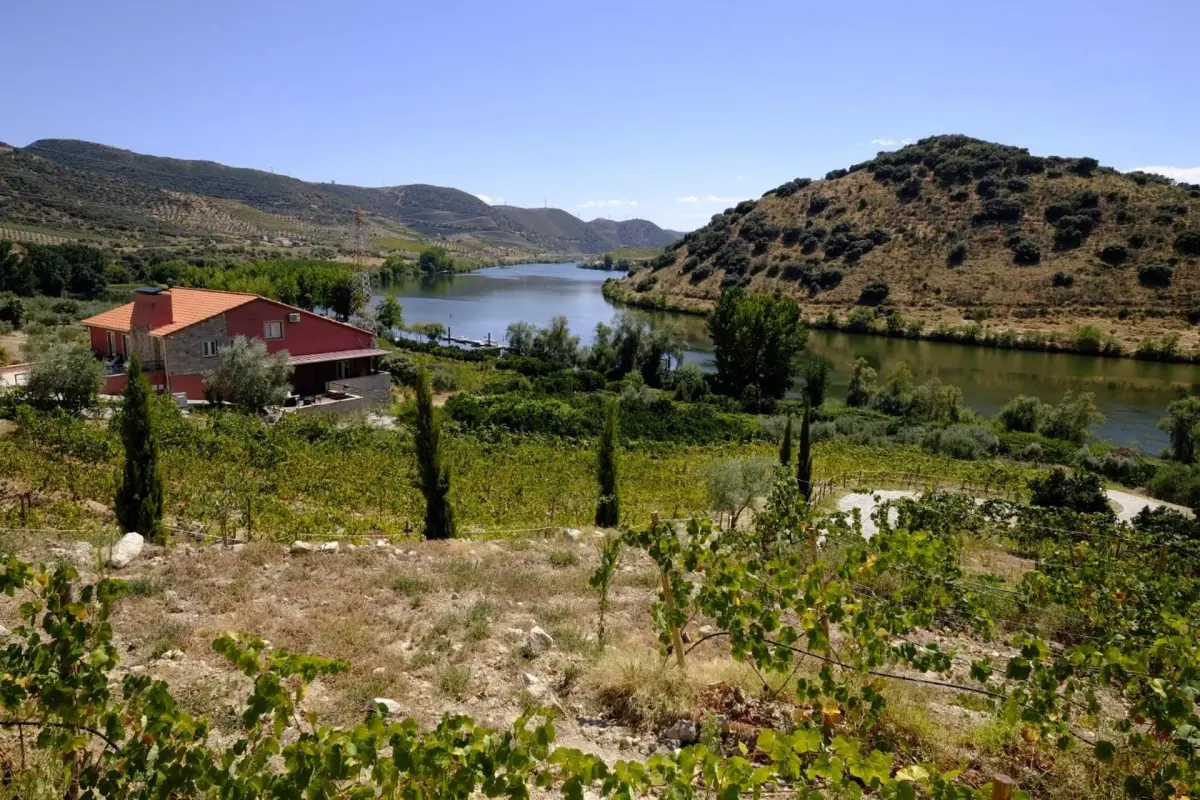 Olhares do Douro - Imagem 99