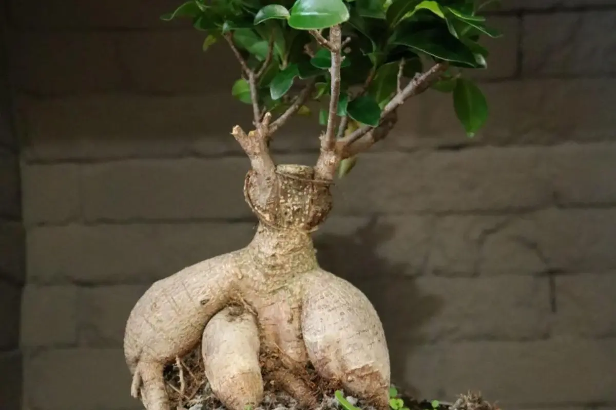 Discover the Origami Porto Residence & Hostel: Your Home in Portugal - Imagem 37