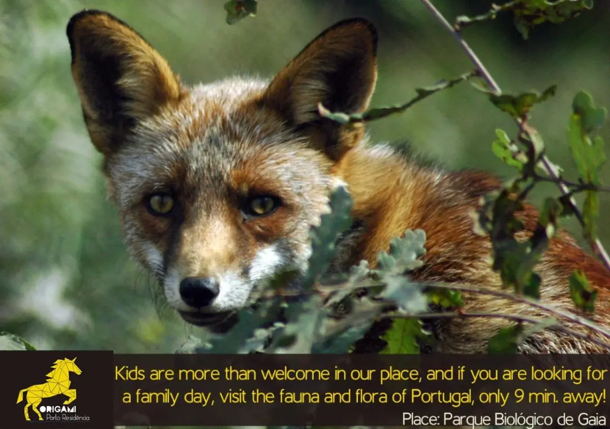 Discover the Origami Porto Residence & Hostel: Your Home in Portugal - Imagem 53