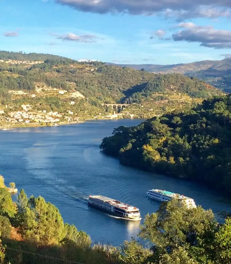 Discover the Piece of World Douro: A Refuge of Comfort and Style - Imagem 34