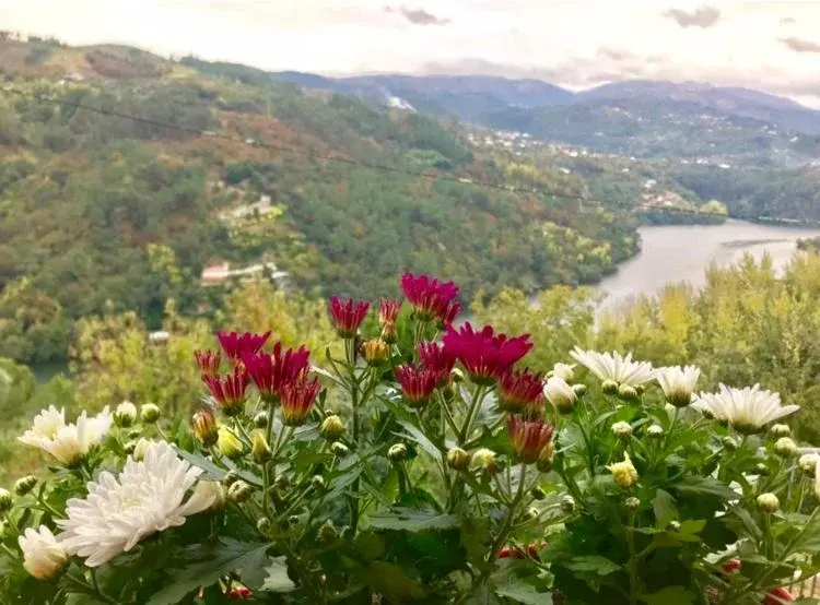 Discover the Piece of World Douro: A Refuge of Comfort and Style - Imagem 36