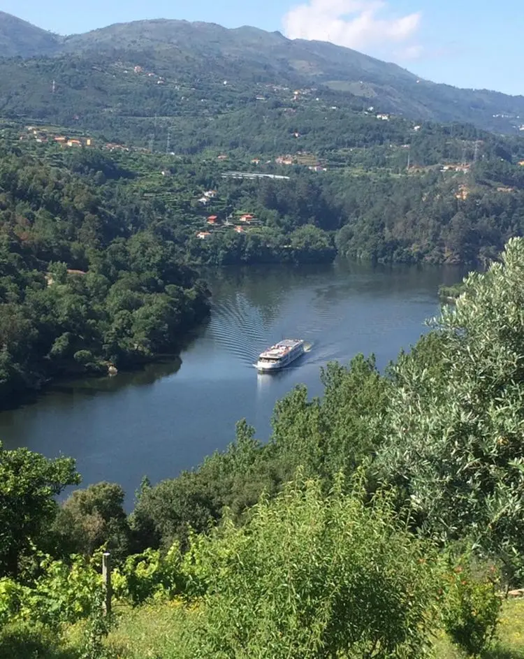 Discover the Piece of World Douro: A Refuge of Comfort and Style - Imagem 37