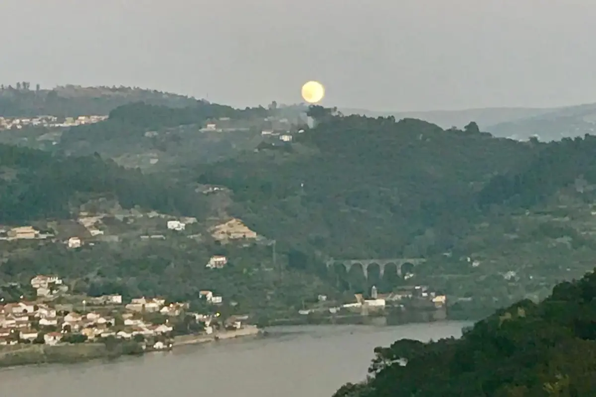 Discover the Piece of World Douro: A Refuge of Comfort and Style - Imagem 47