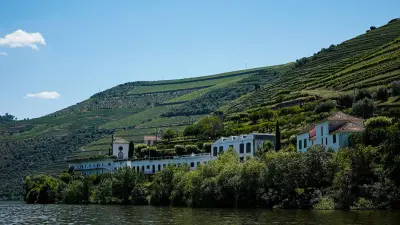 Adega de Armamar