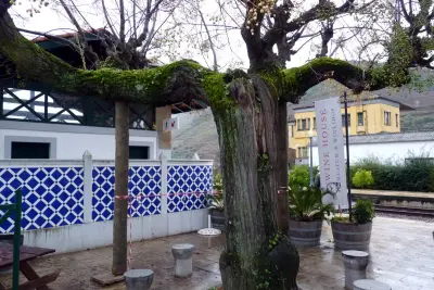 Weinmuseum Alijó