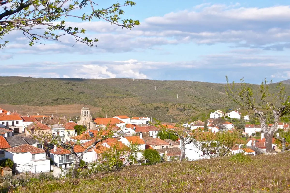 Mandelblüte – Freixo