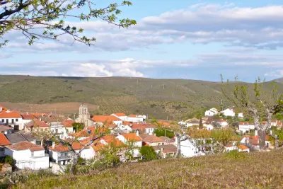 Mandelblüte – Freixo