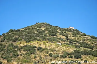 Almond Blossom in Torre de Moncorvo