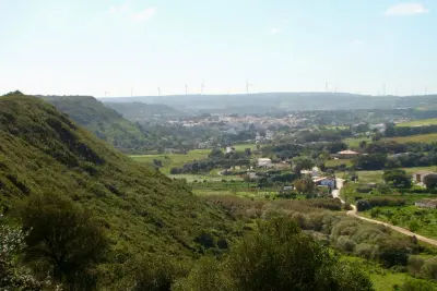 Amandiers en Fleurs de Vila Flor