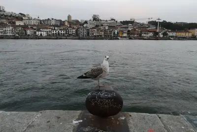 Cais da Régua