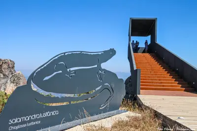 Miradouro de Cinfães