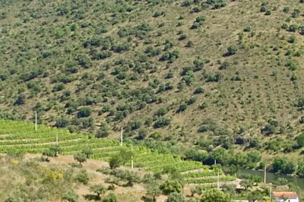 Naturpark Douro Litoral